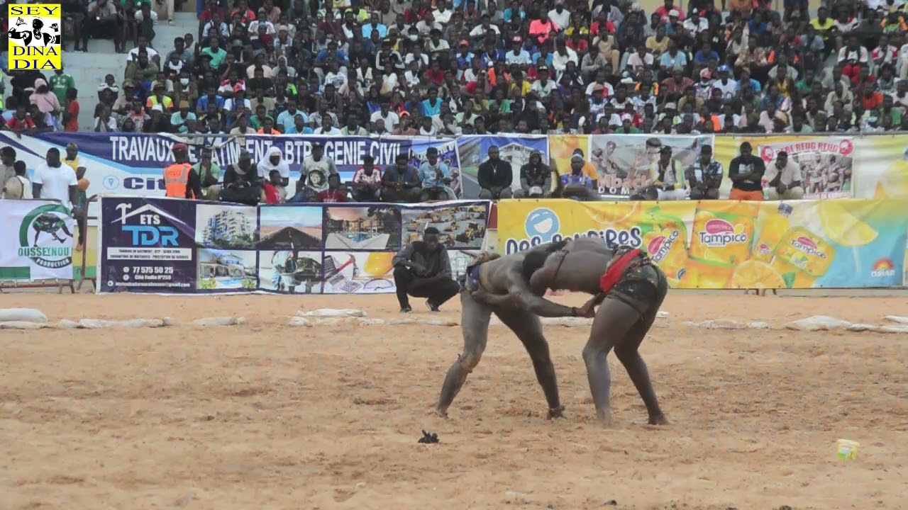 SOULAYE GAYNDE 2 VS DOFOU DIAZ SAMEDI 18 MAI 2024 OUSSEYNOU LAYE PRODUCTION 1