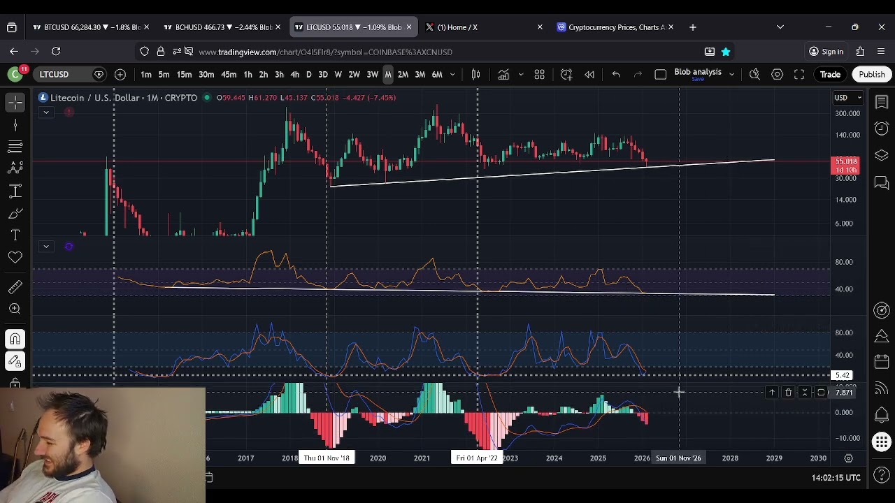 LTC Litecoin: решающий момент в марте.