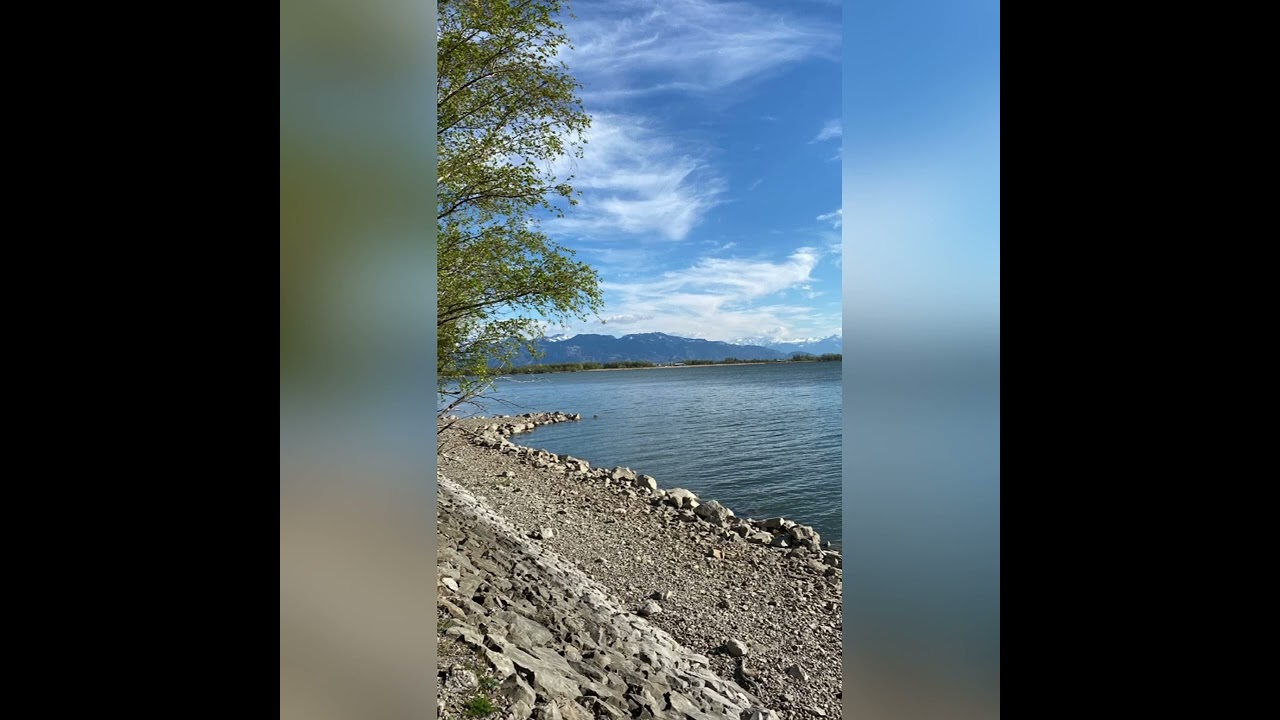 Rheindelta Naturschutzgebiet Hard am Bodensee.