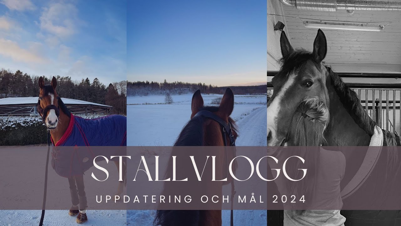 Stallvlogg februari - uppdaterar om det senaste, mål för 2024