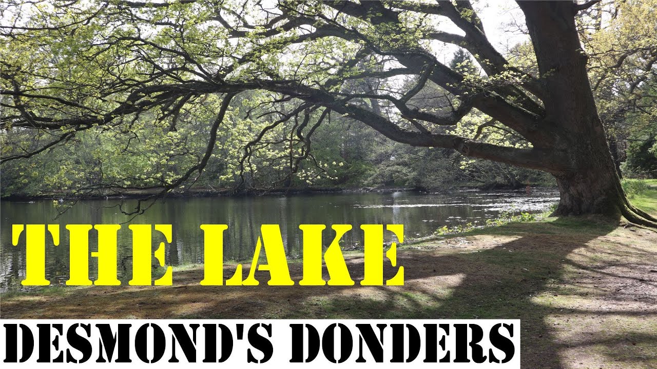 The SQUARE and LAKE in FOCHABERS - (Scotland)