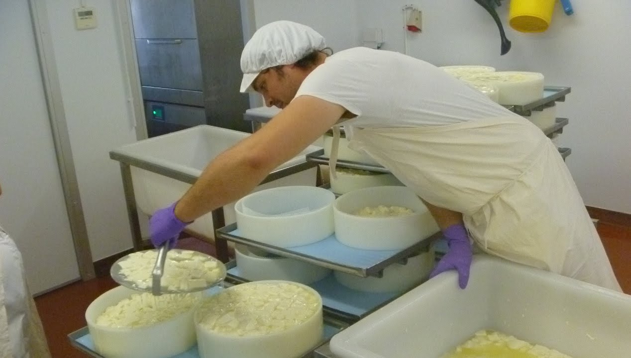 Baron Bigod Brie - a visit to Fen Farm