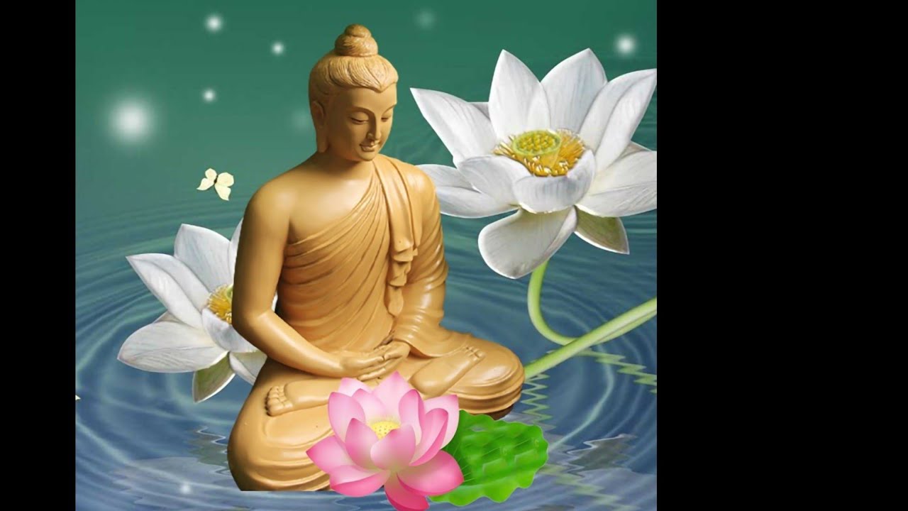 Bên trong ❤️ Khởi tại tâm ❤️ HMF