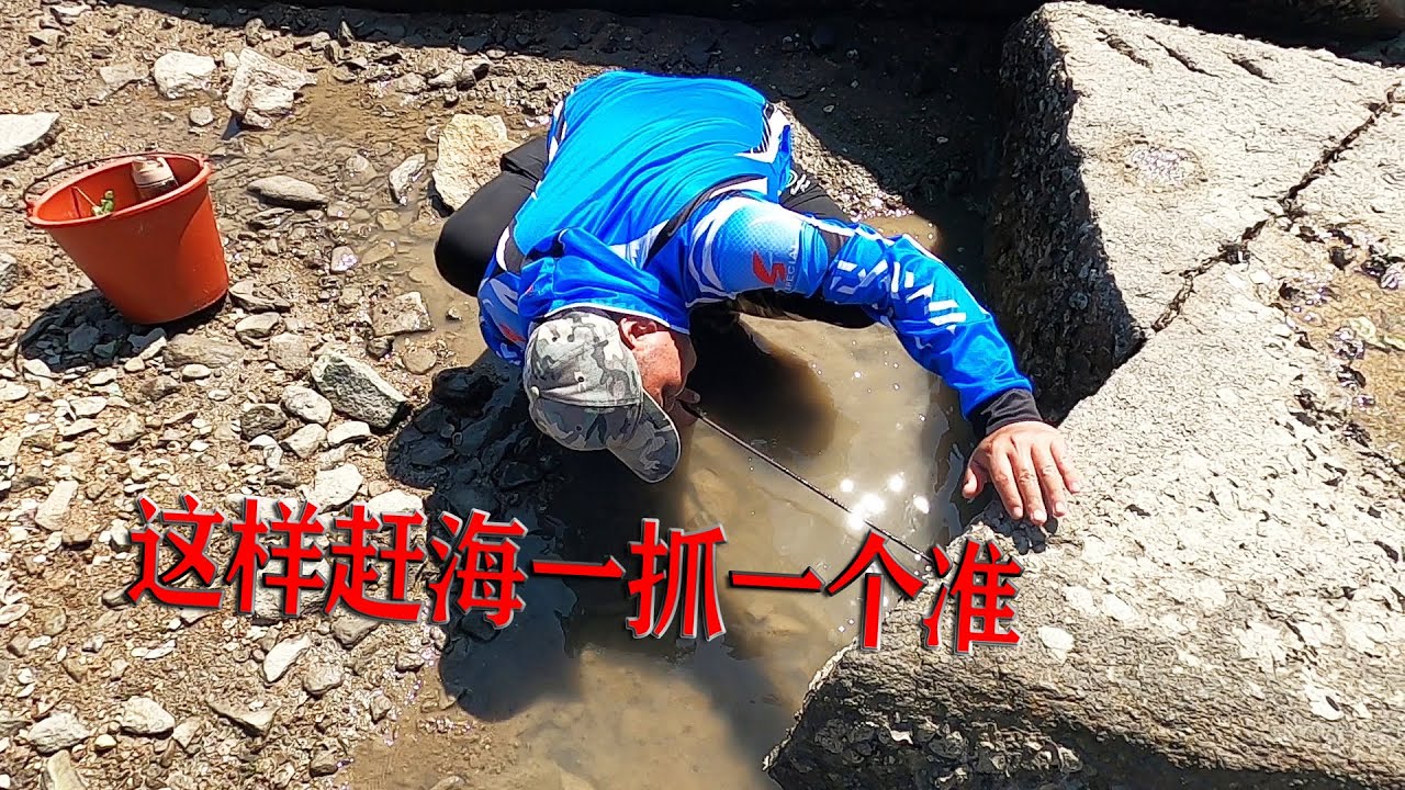 吴哥凭多年赶海经验抓青蟹，这样一抓一个准，真不愧是老渔民