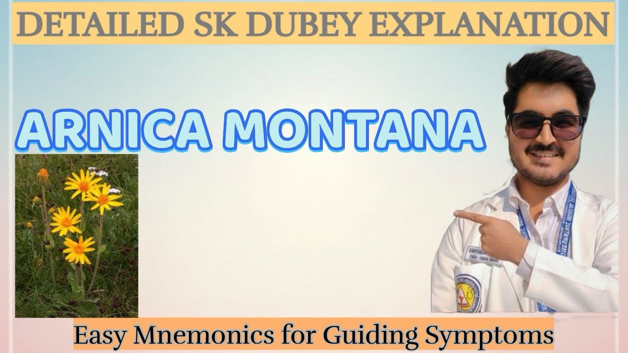 ARNICA MONTANA (Understanding Remedy in a Simple Way 🌿)