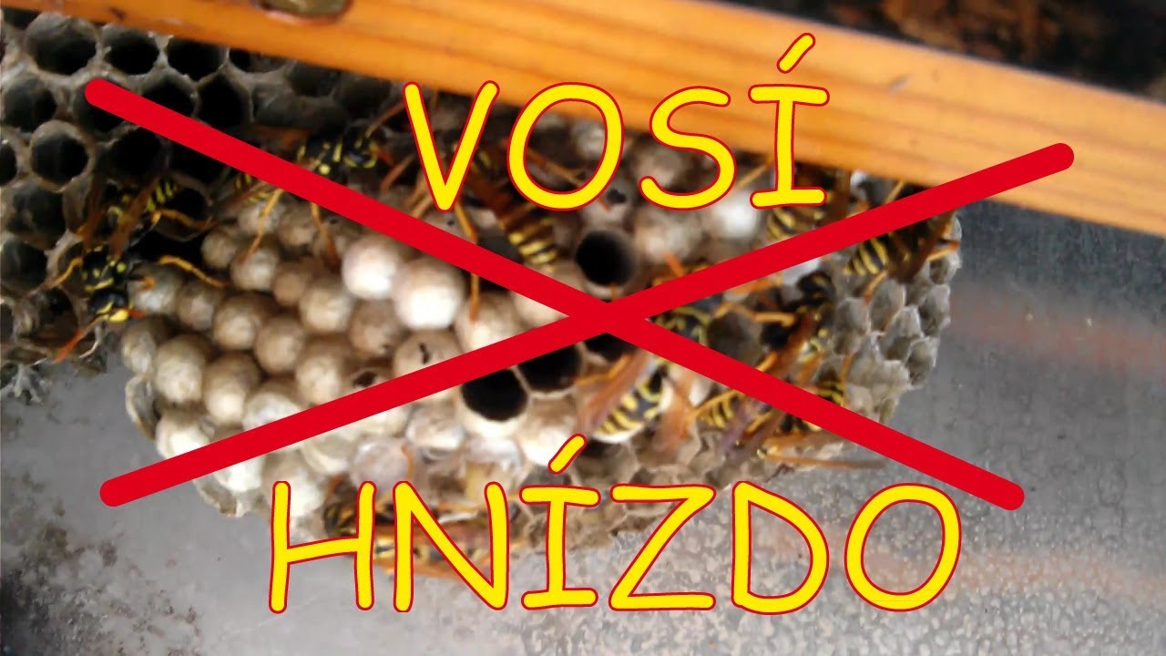 Vosí hnízdo - odstranění improvizovanými prostředky
