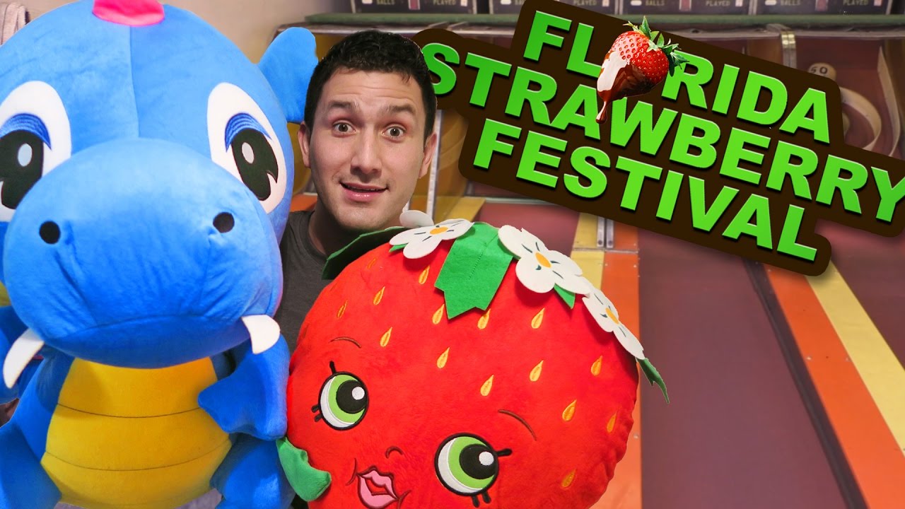 BIG WINS at the Florida Strawberry Festival Carnival Games 2017!