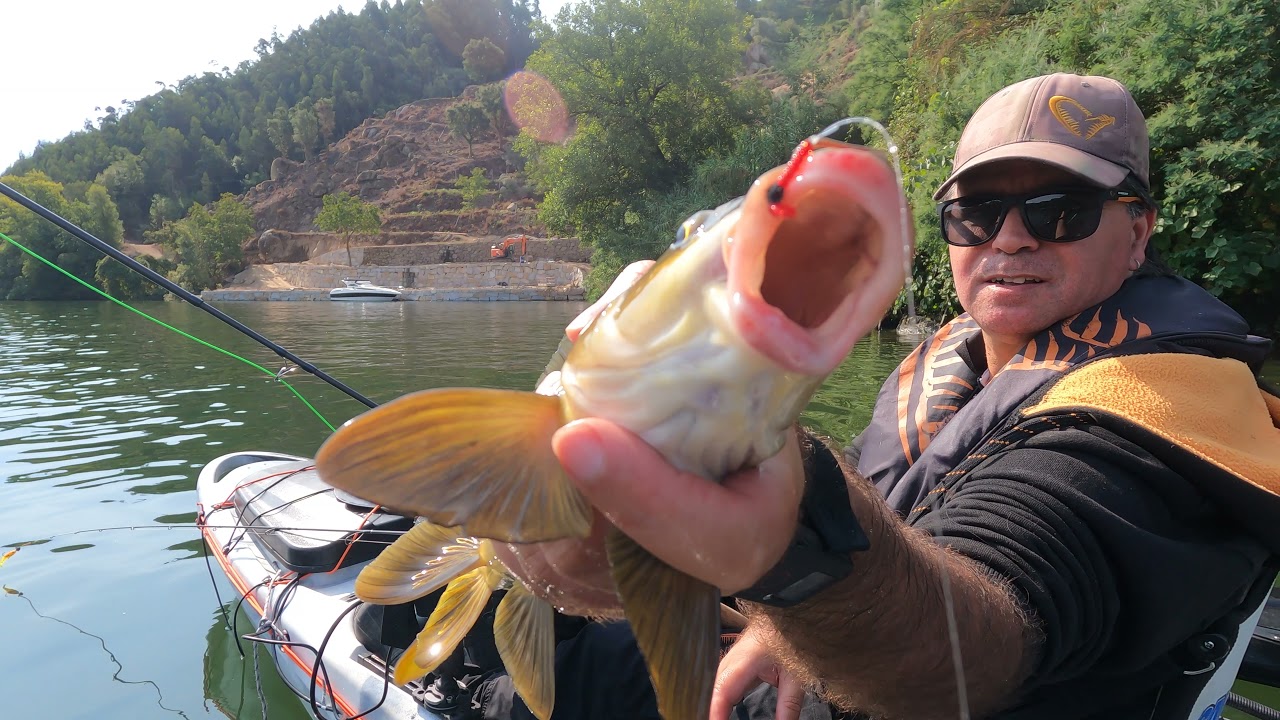 Pesca de Barbos em Flyfishing no rio Douro (5K)