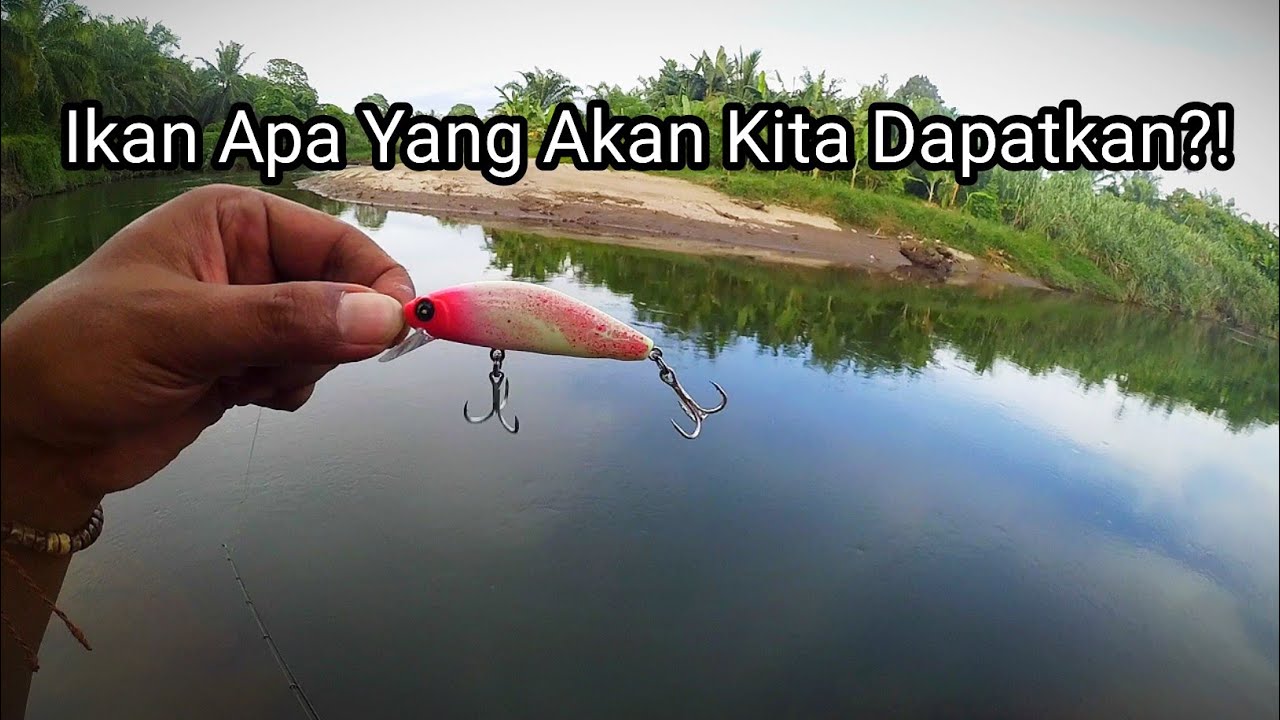 MANCING DI SUNGAI PAKAI TEKNIK CASTING