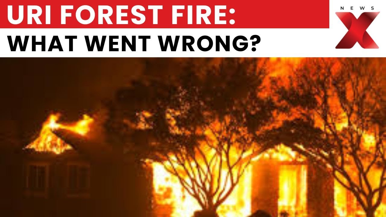 Breaking News: Massive Forest Fire Breaks Out in Uri Sector, North Kashmir | NewsX