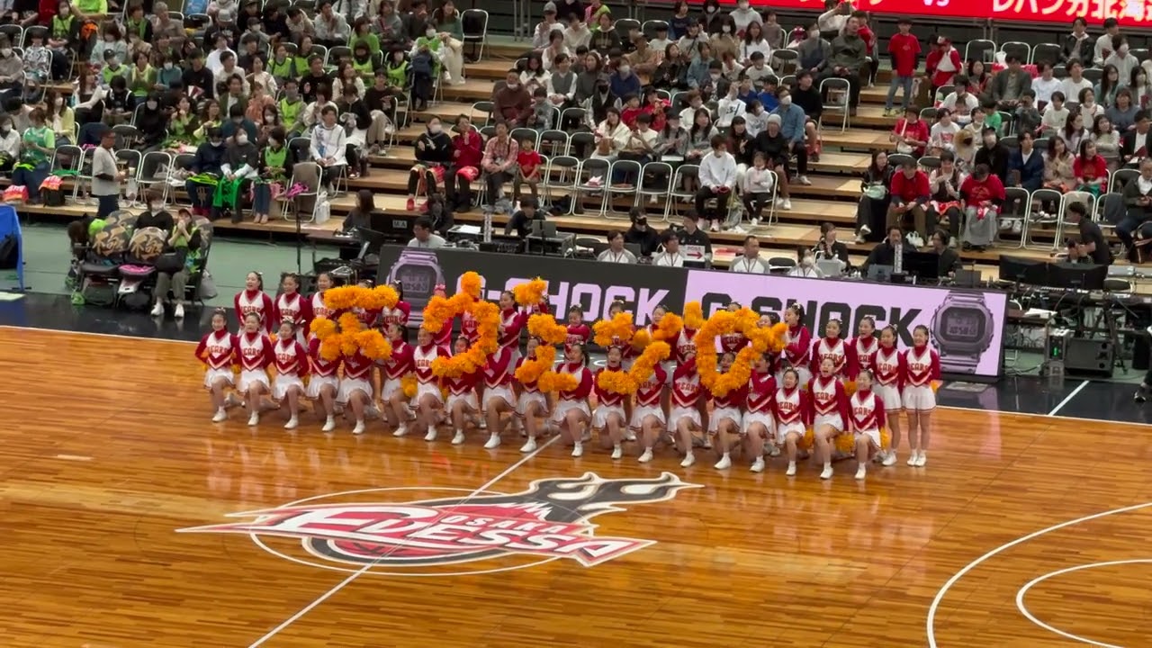 Bリーグ 大阪エヴェッサ ハーフタイム GOLDEN BEARS チアリーダー