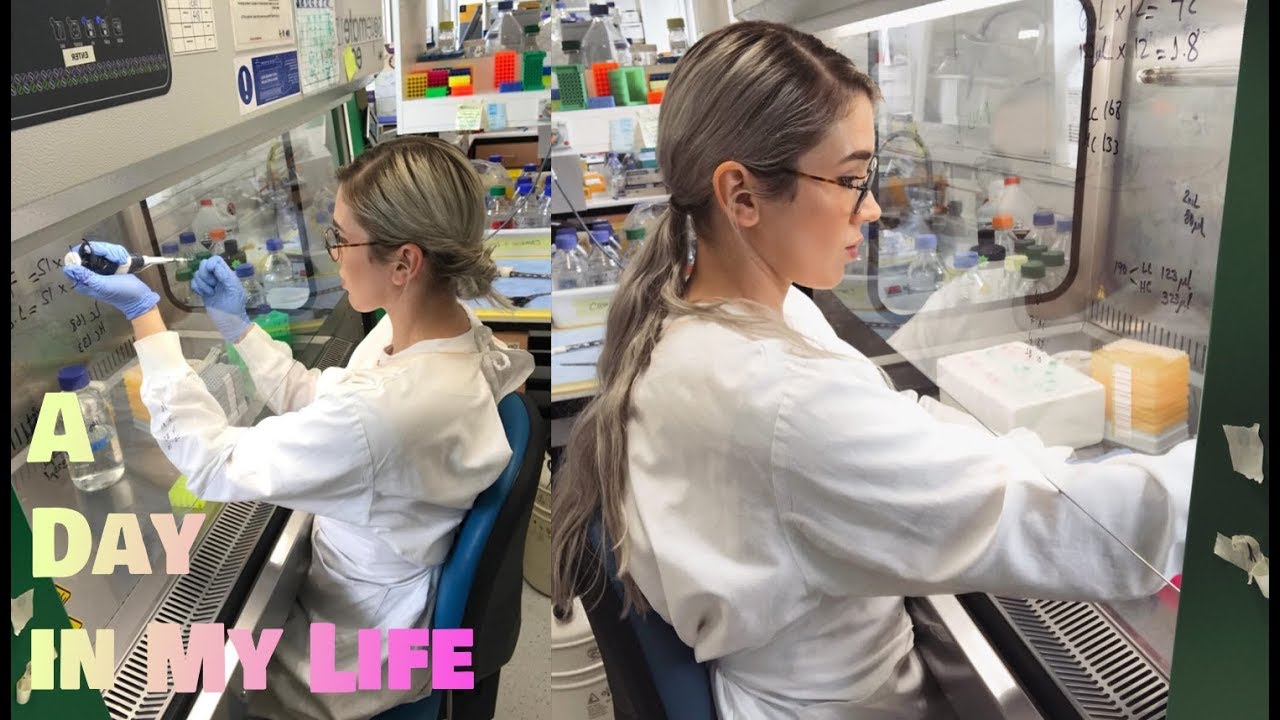 A Day in the Life of a Virologist (Pandemic Edition)
