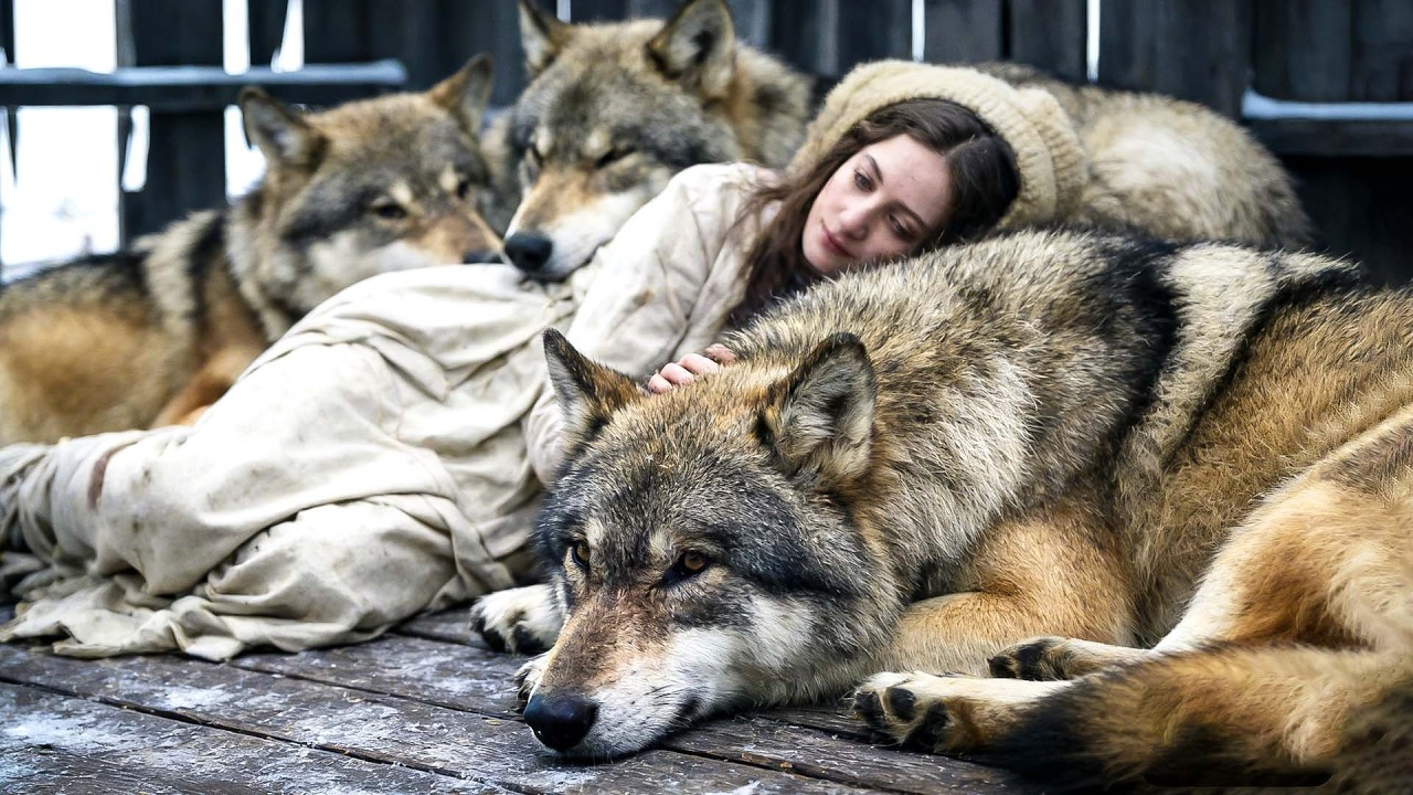 The Rejected Omega slept in a barn—By morning, the ALPHA KING and his guard were her 