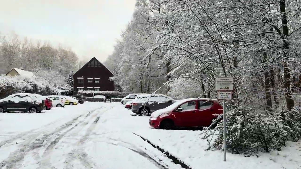 January 2026 Winter in Hamburg  walk in 4K