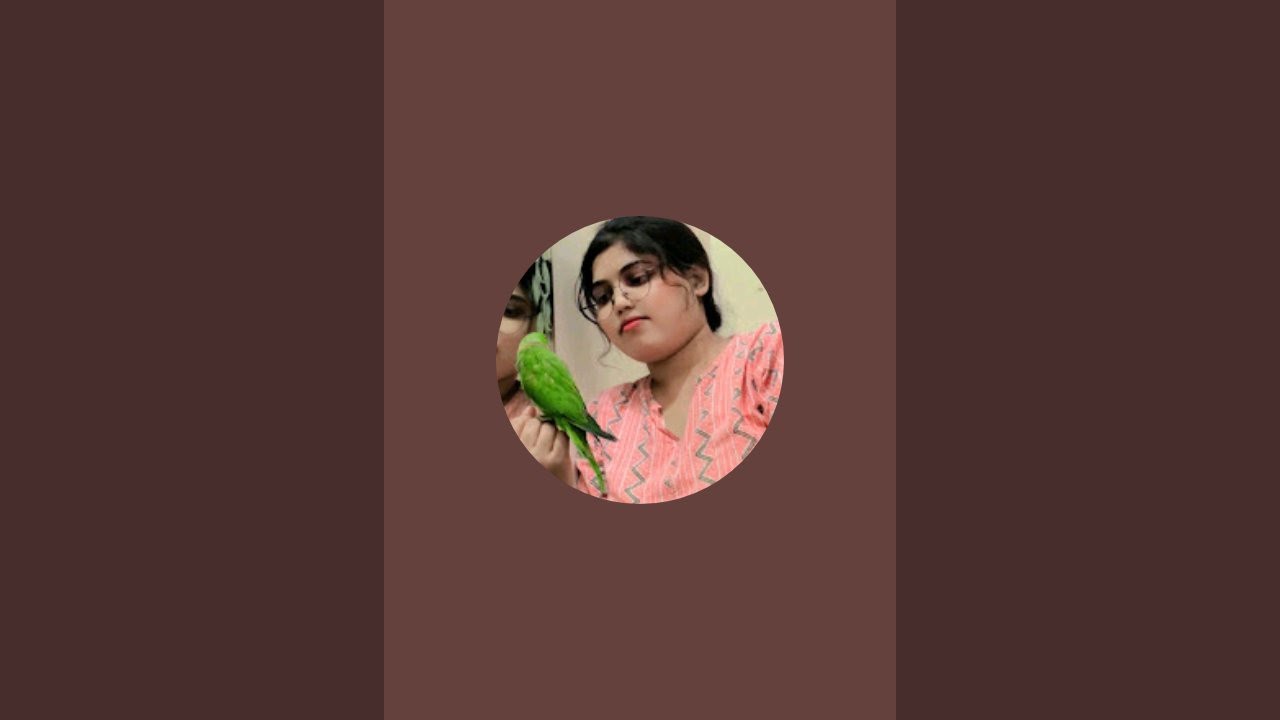 You will get parrot related videos on this channel. So please watch the videos.