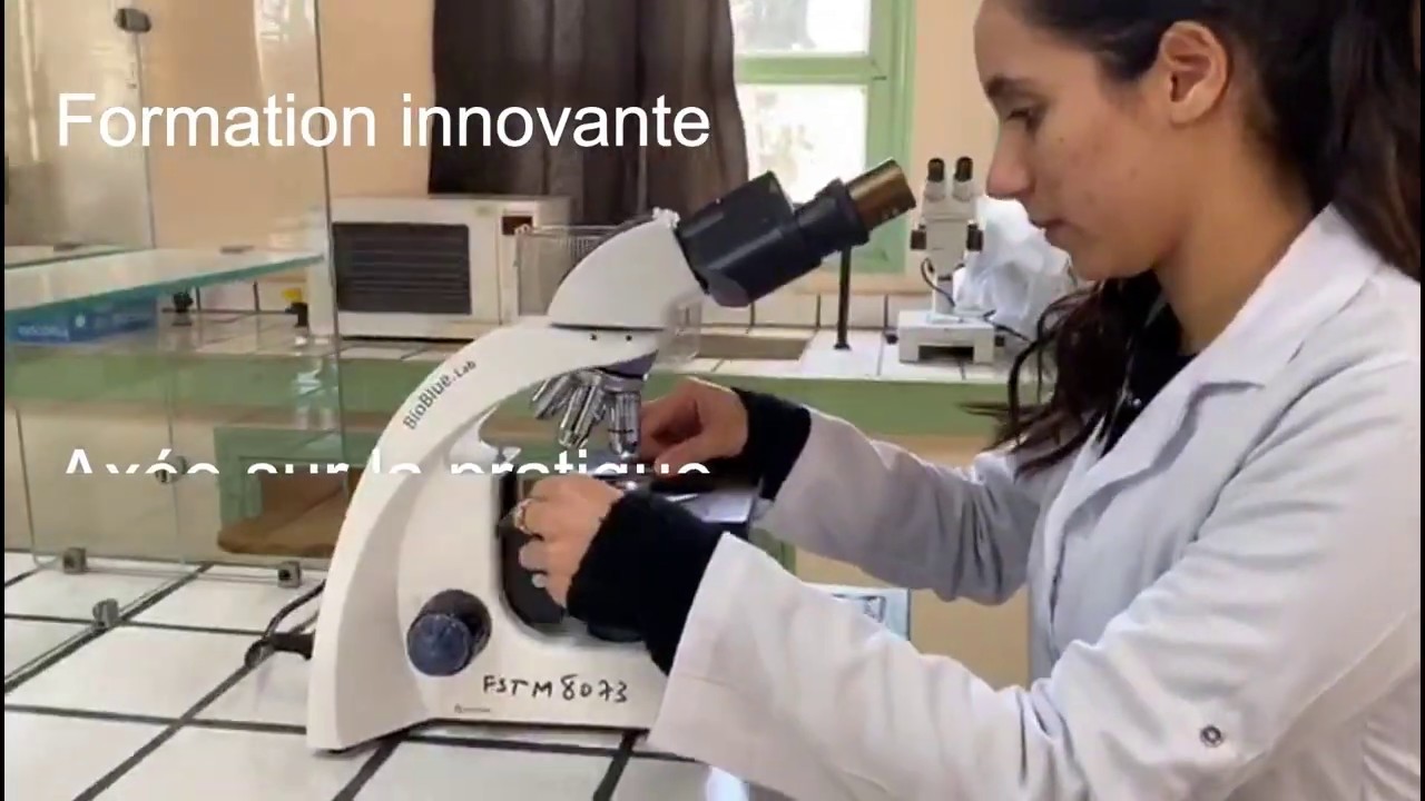 D&eacute;couvrez : Master Universit&eacute; 