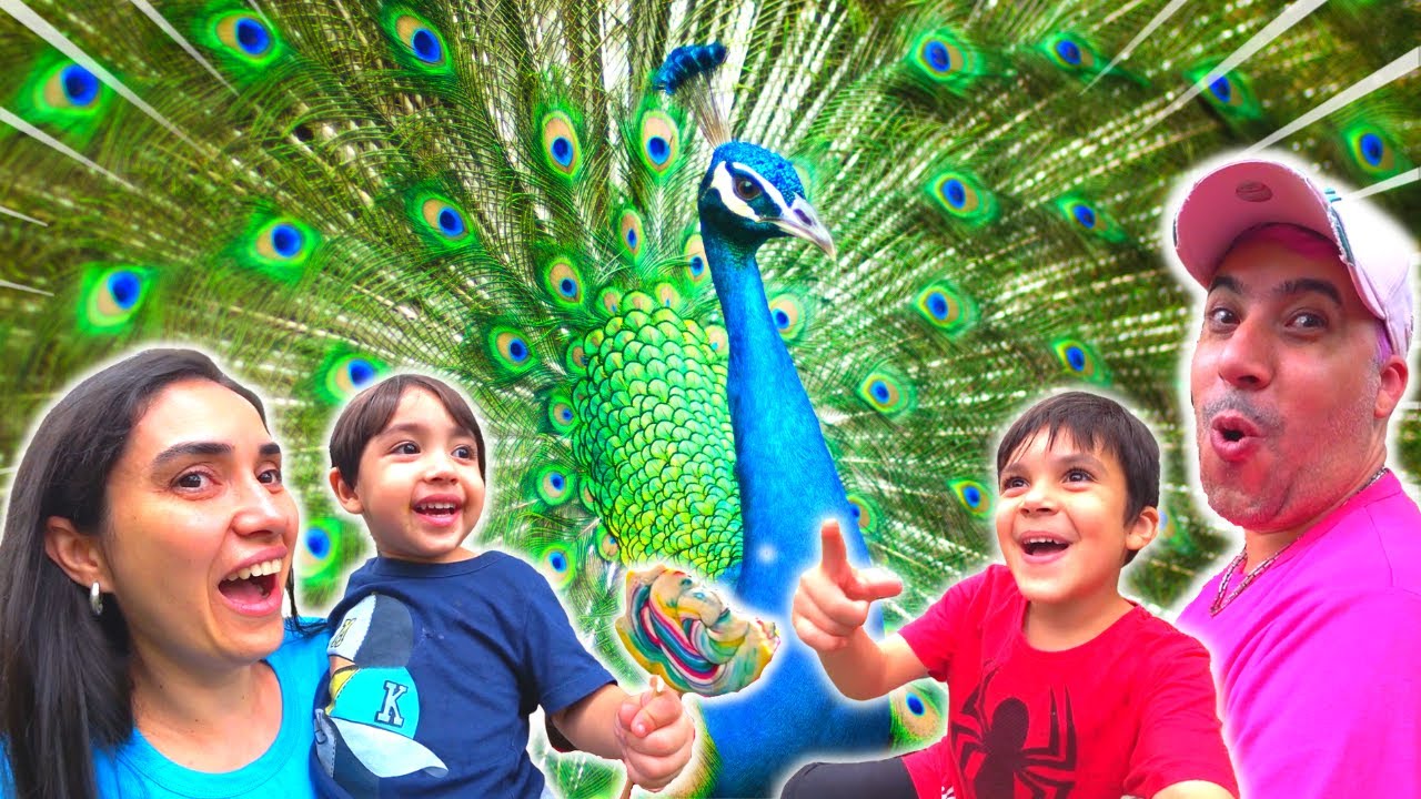 ROTINA DE PASSEIO NO ZOOLÓGICO DE BELO HORIZONTE com a Família Joaozinho e Toninho