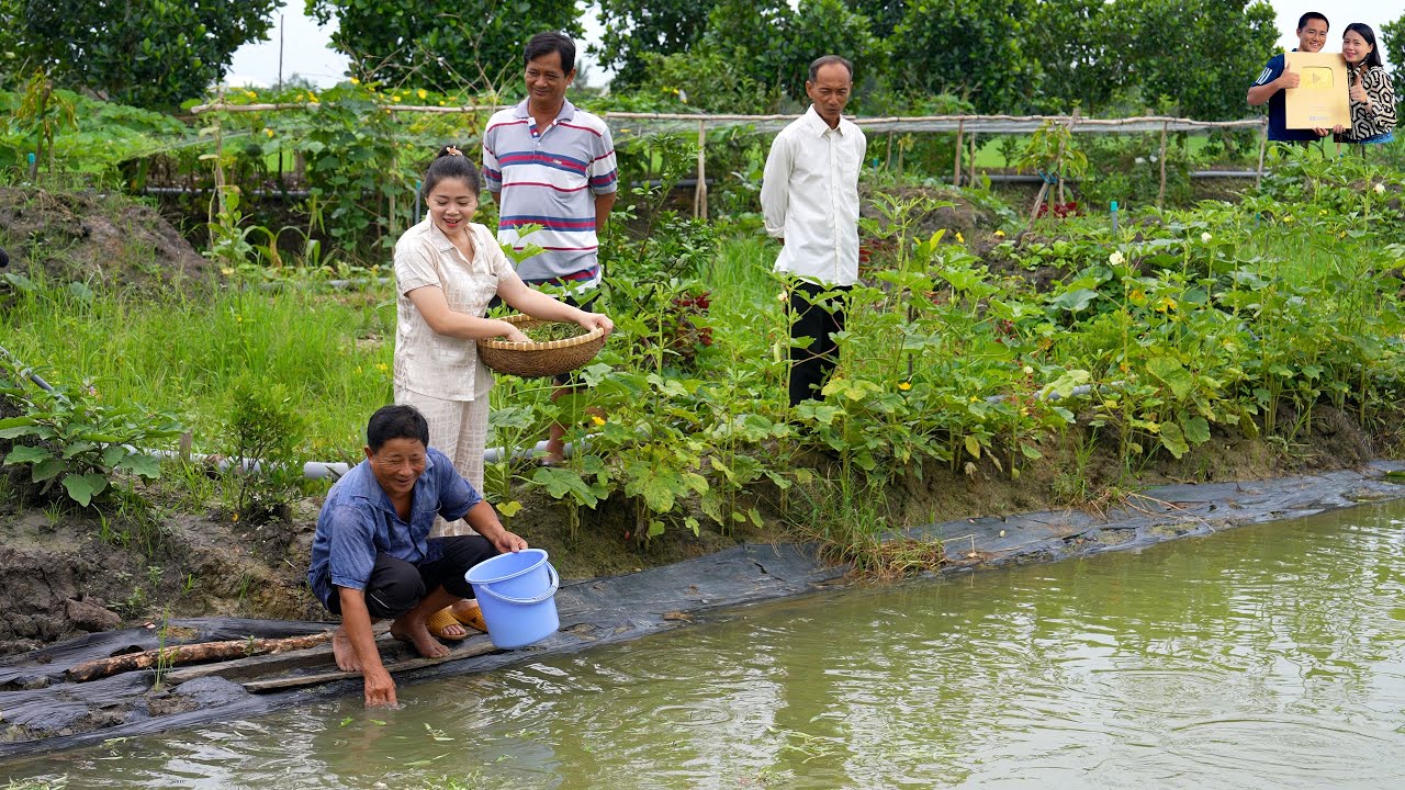 Sự thay đổi quá tuyệt vời ở Khu đất lên vườn trồng cây ở quê Phan Diễm ăn Nồi lẩu hải sản siêu ngon