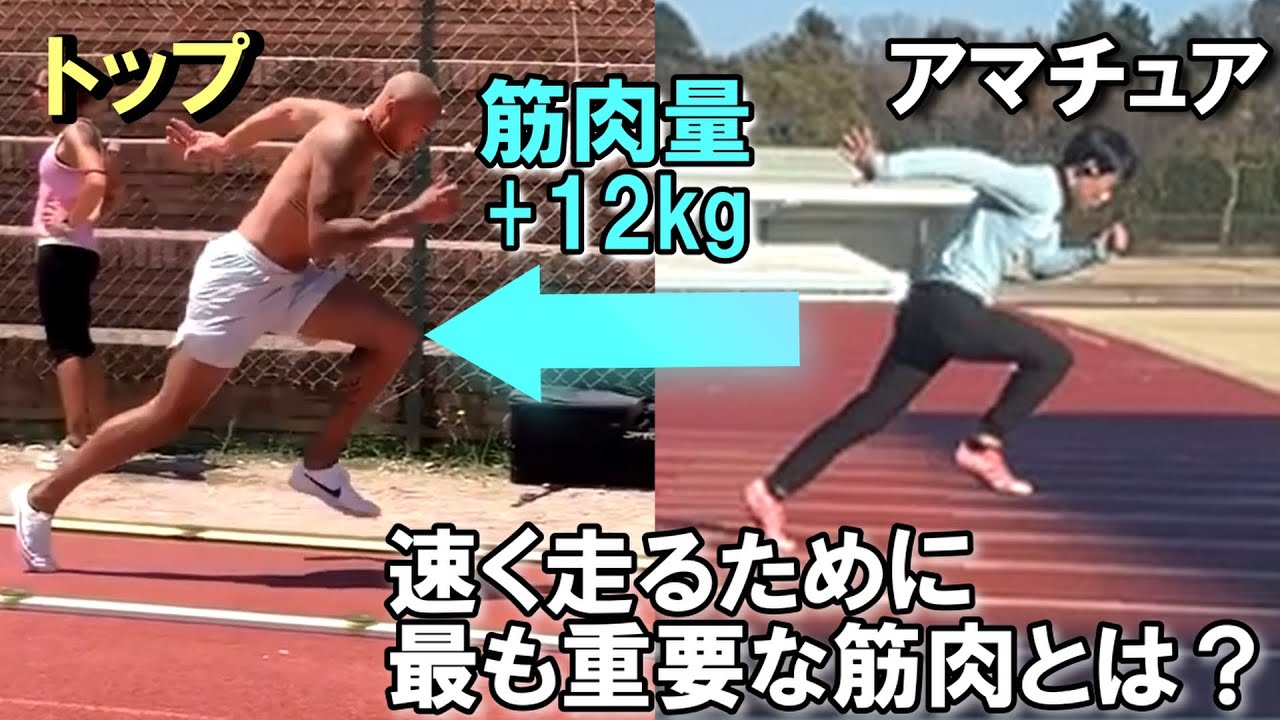 足を速くするために科学的に最も鍛えるべき部位は？