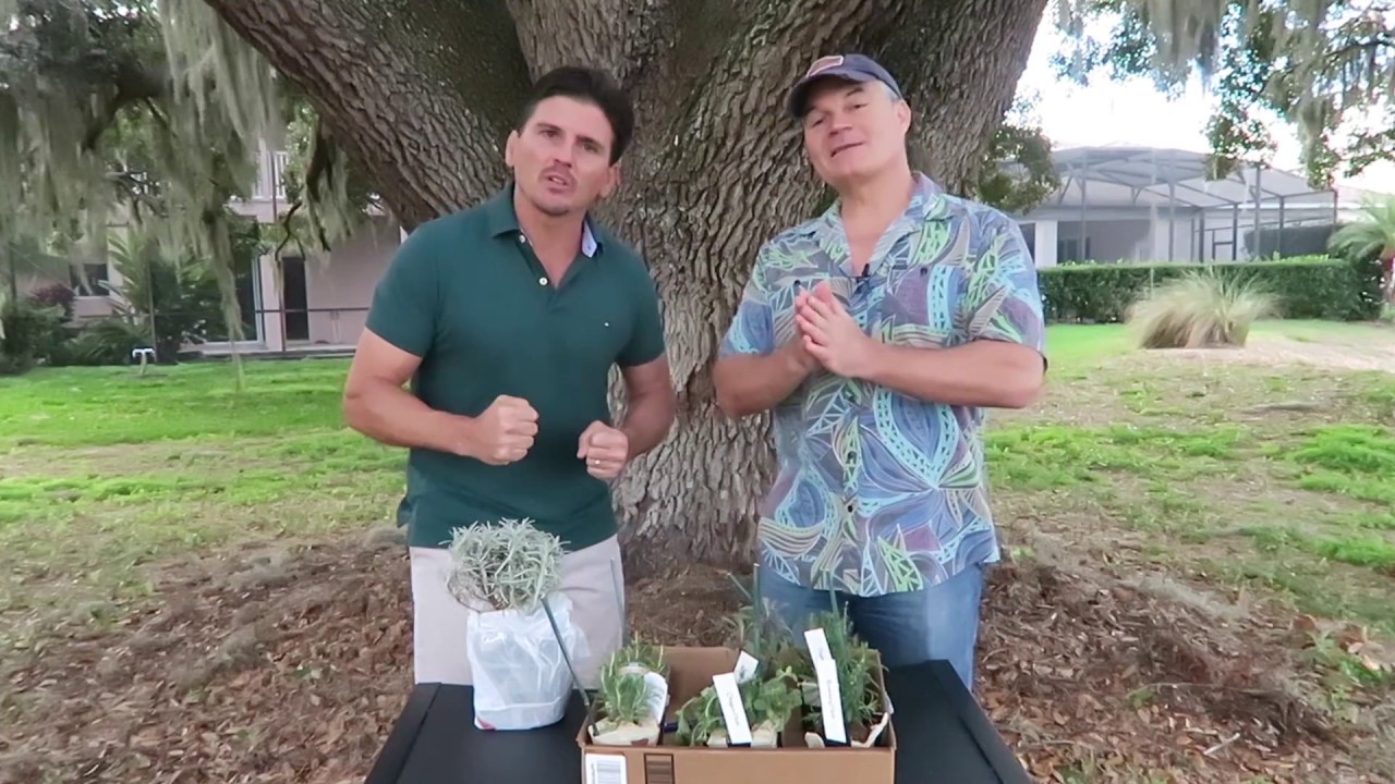 How To Grow Your Own Medicine