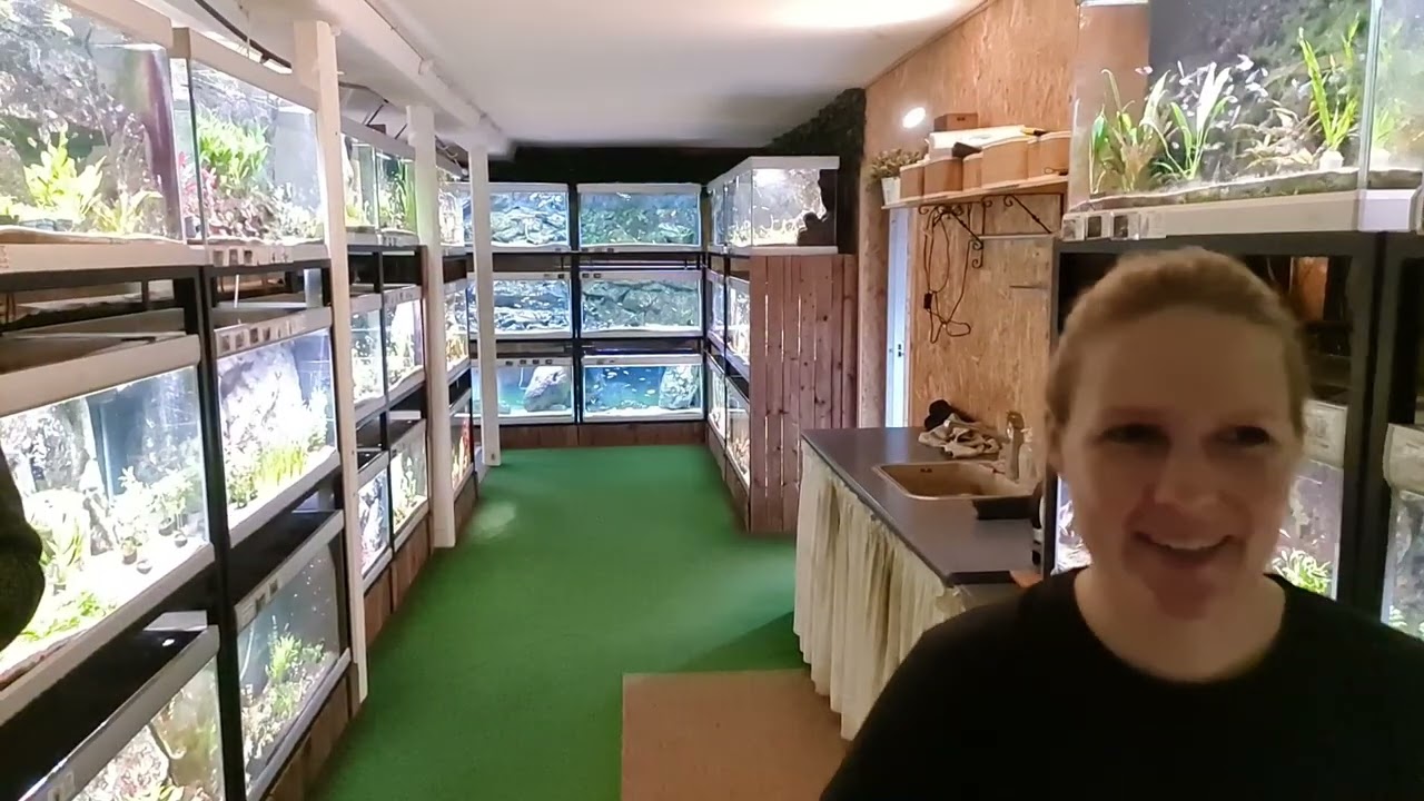 Fredagsfilm - Malawier udgår, nye fisk og planter!