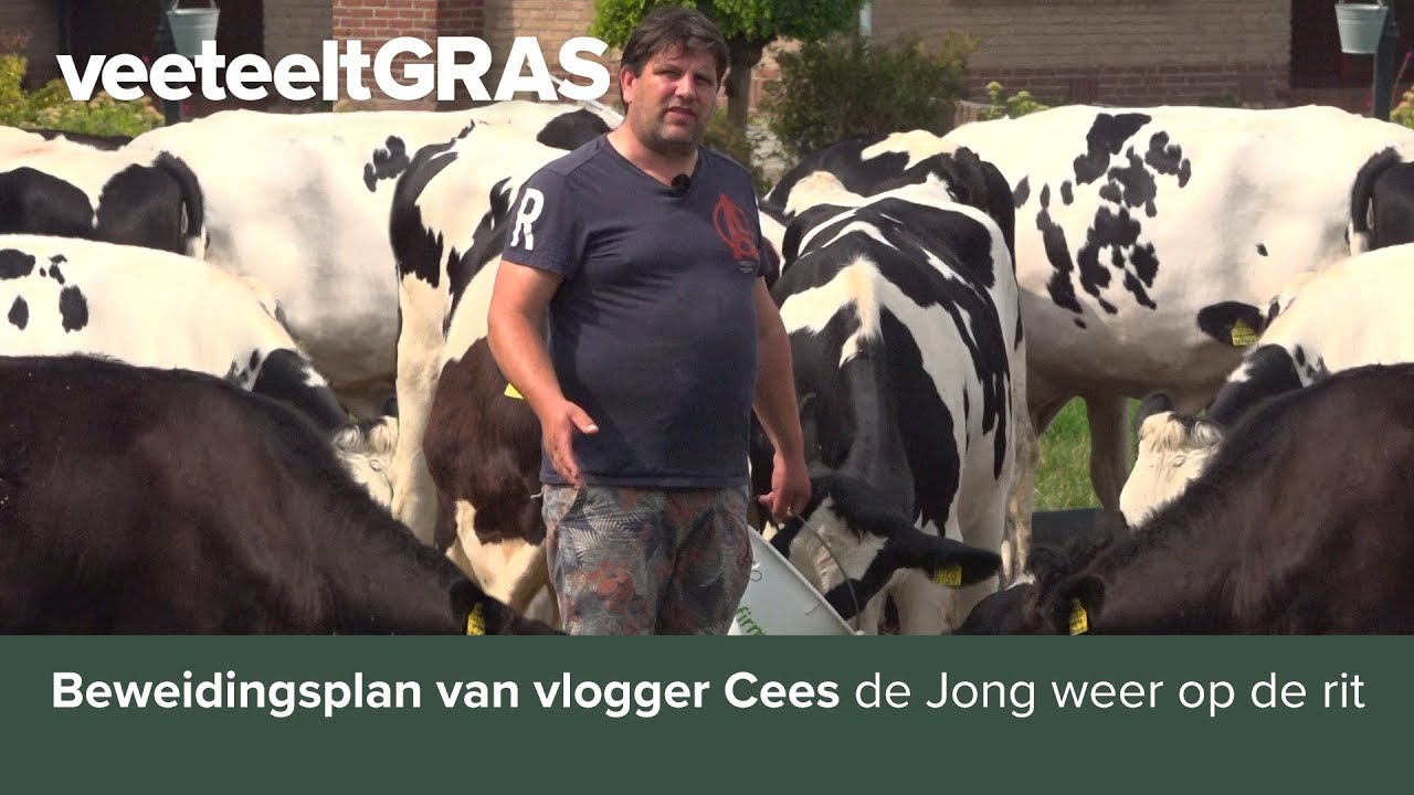 Beweidingsplan van vlogger Cees de Jong weer op de rit
