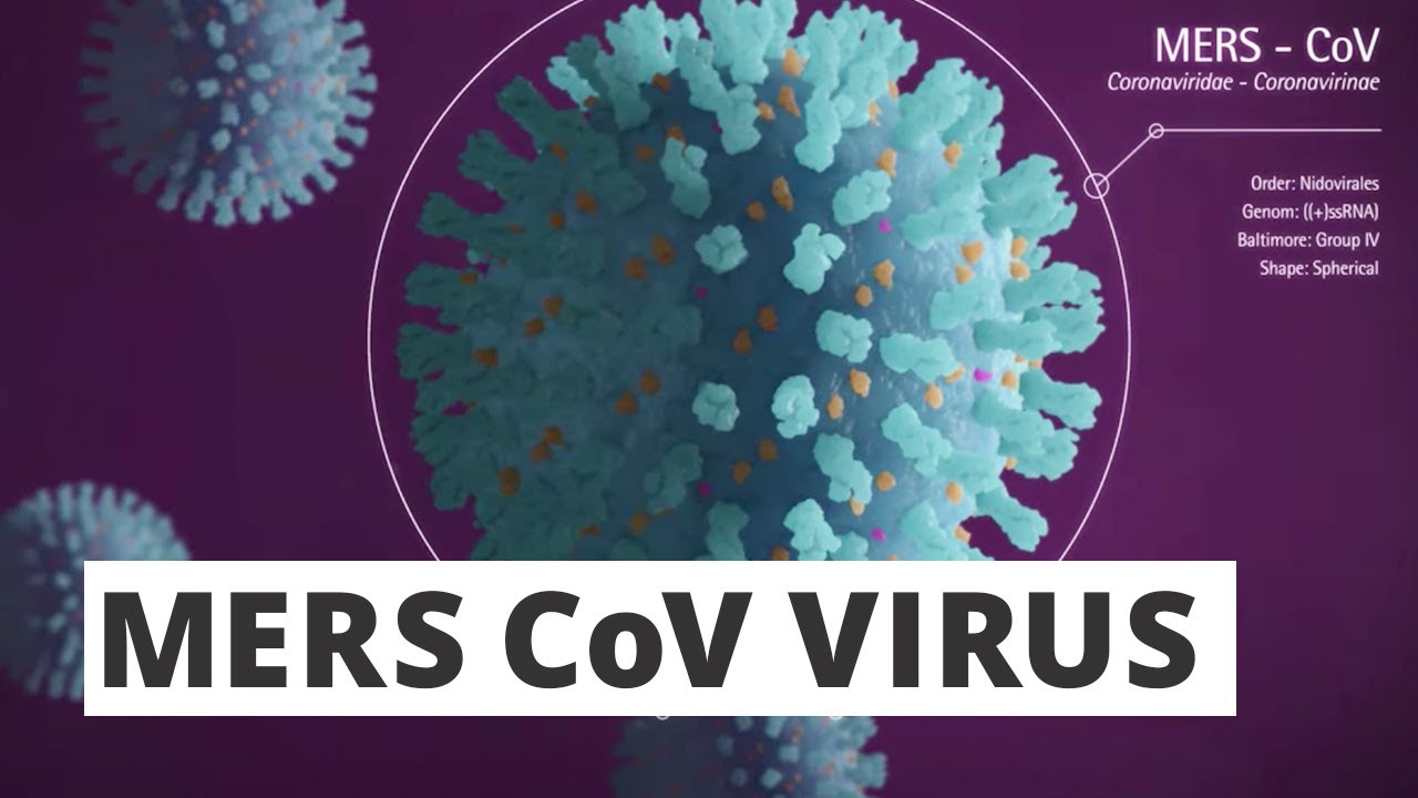 MERS CoV &mdash; What is the Middle East respiratory syndrome coronavirus? Medical Animation.