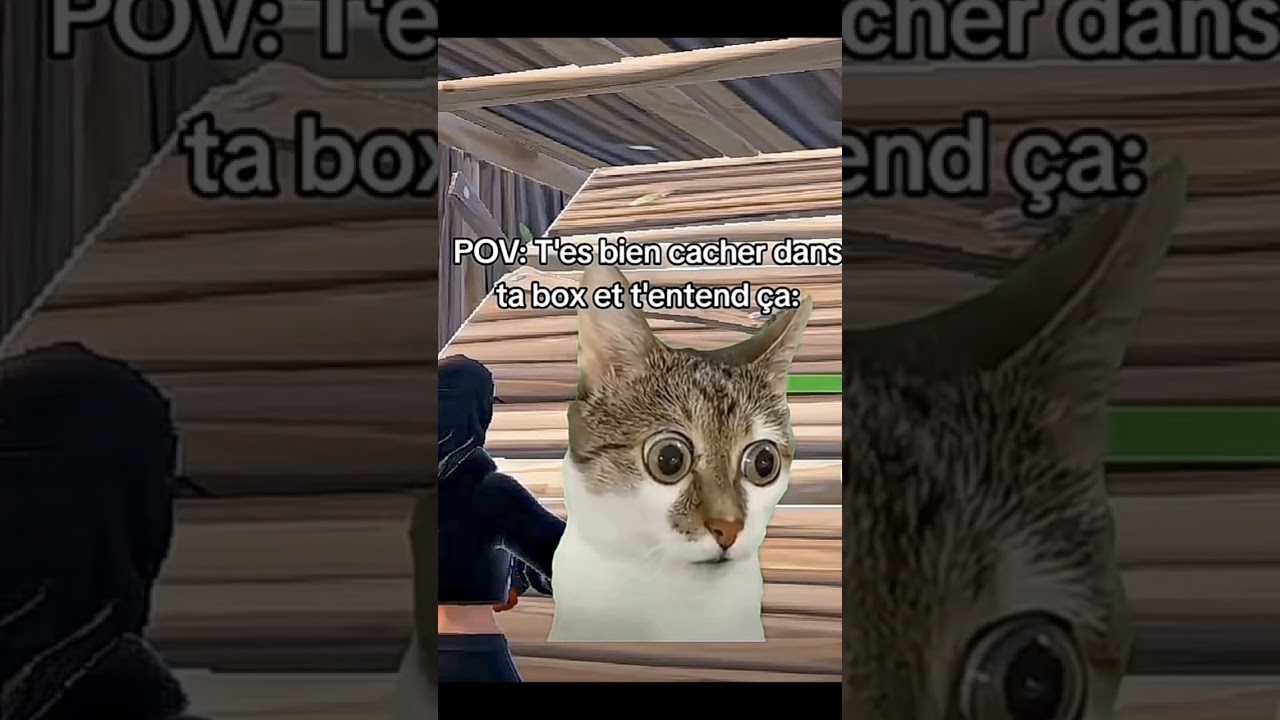 Pov tu est bien cach&eacute; et t'entend sa #ftn #fortnite #drole #minigundEminem #chat