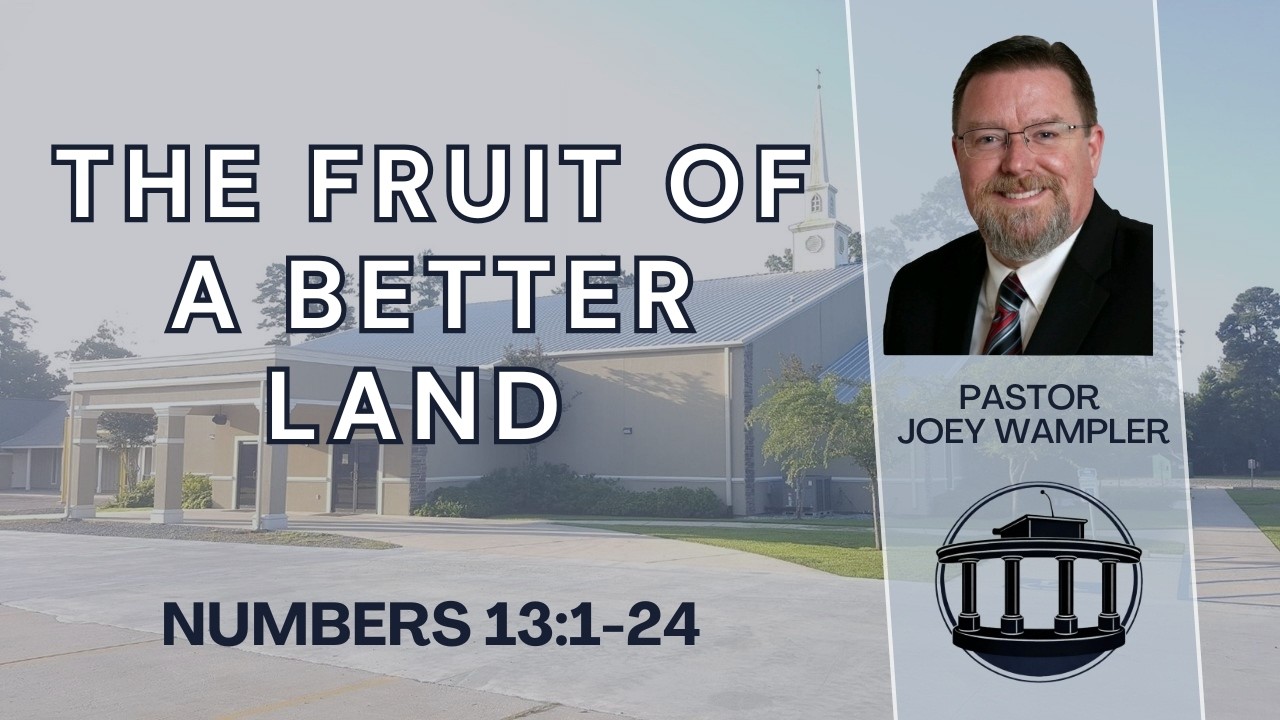 The Fruit of a Better Land (Numbers 13:1-24)