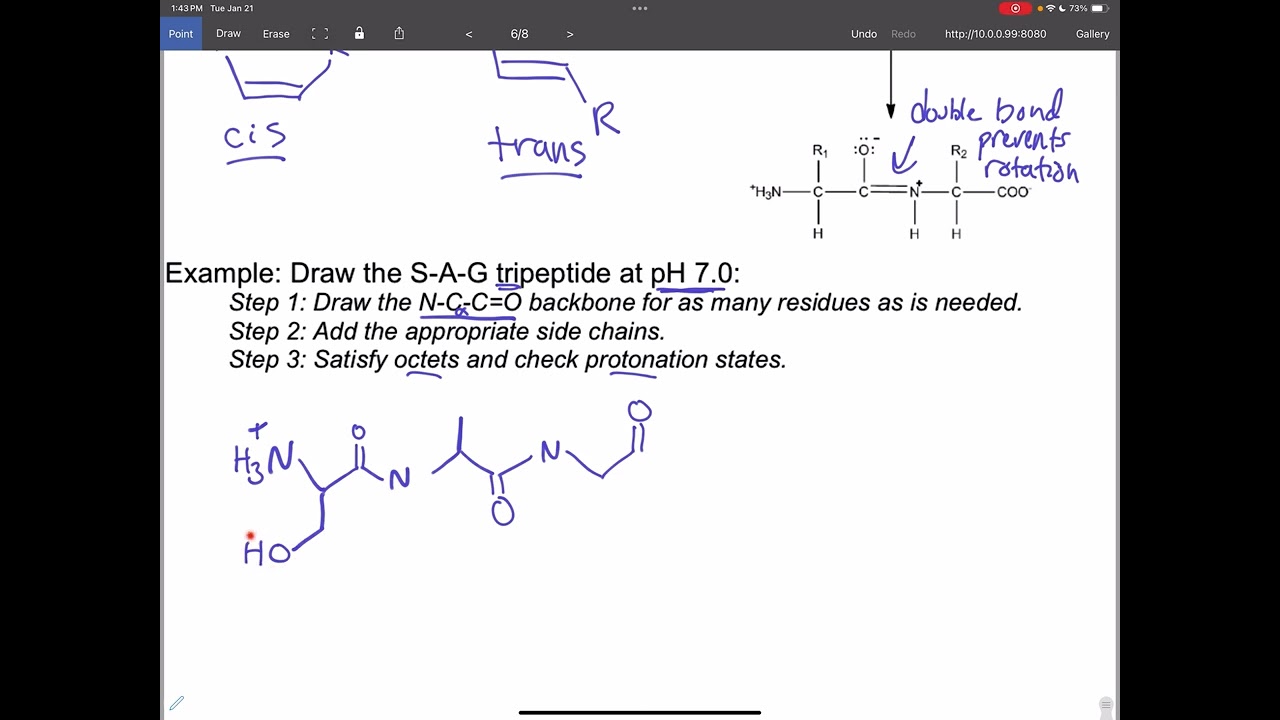 How to draw a tripeptide