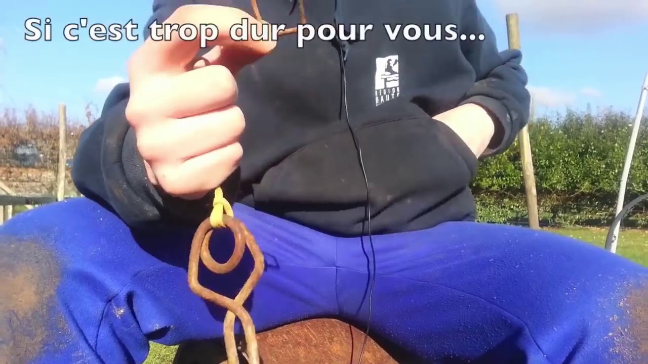 Comment Piéger Une Taupe facilement (Version Politiquement Correcte)