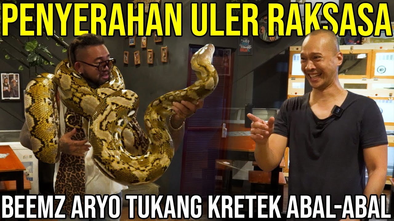 PENYERAHAN ULER RAKSASA BEEMZ ARYO TUKANG KRETEK ABAL-ABAL | BEEMZ ARYO #AudreyA #KINGOFTHEJUNGLE