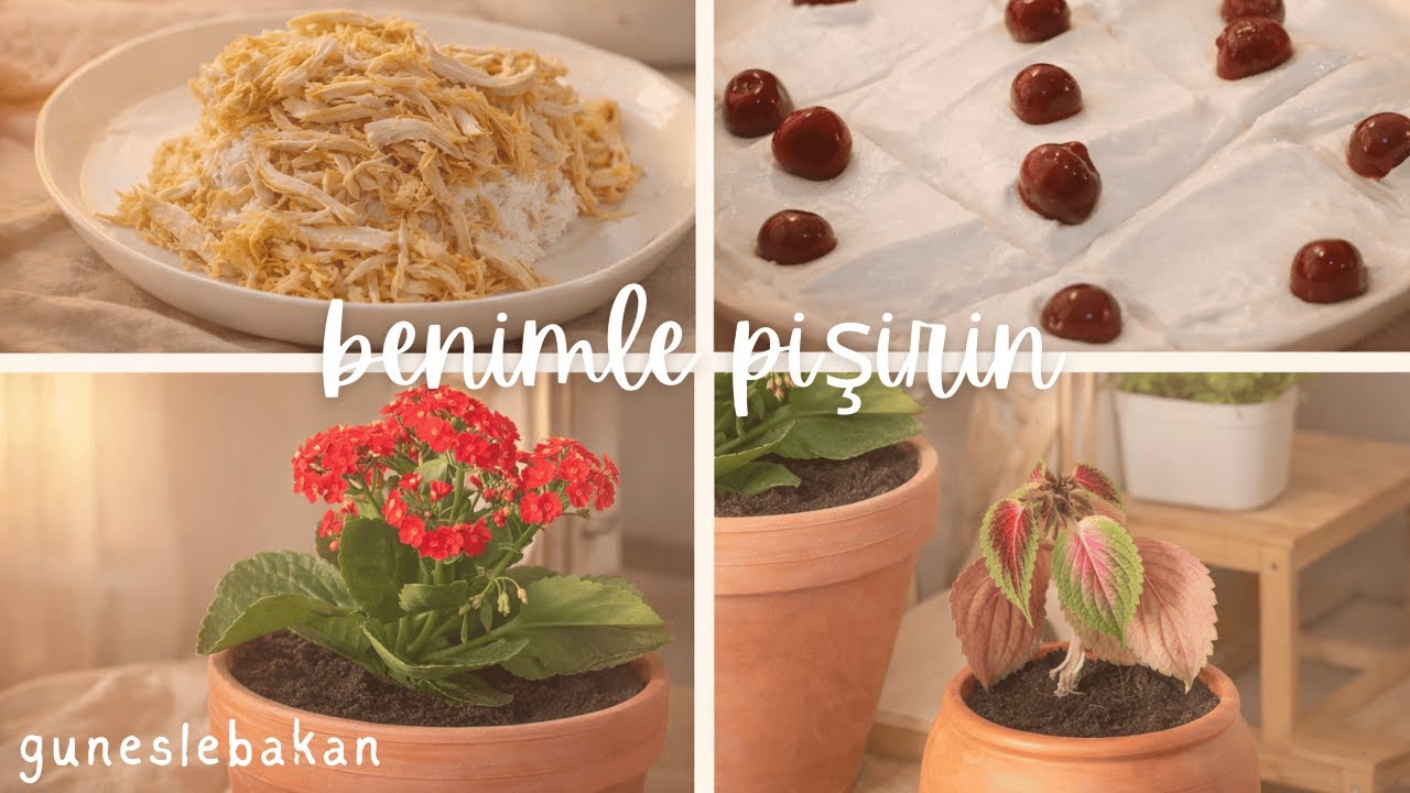 Спокойный день дома | Сажаю цветы, рис с курицей и нутом & десерт Etimek