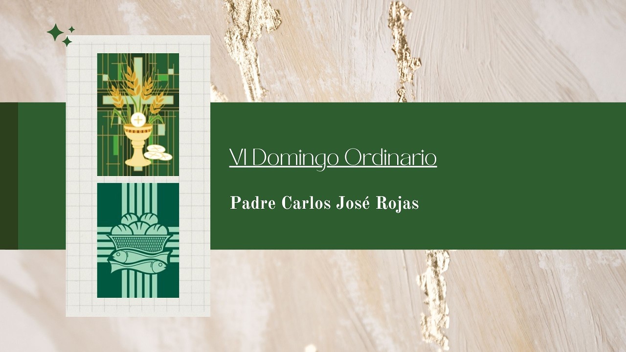 Homilía- VI Domingo Ordinario - Padre. Carlos José Rojas