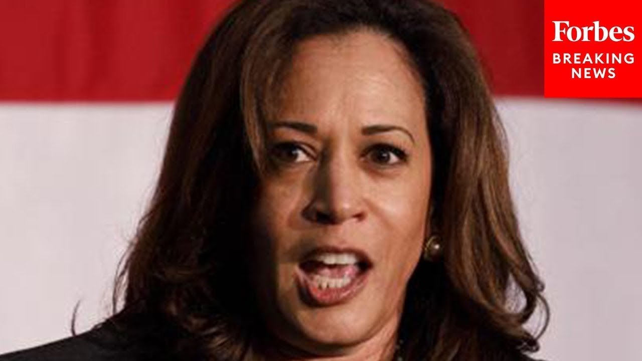 A Major War Is 'More Likely' If Kamala Harris Defeats Trump—Here's Why: Steve Forbes