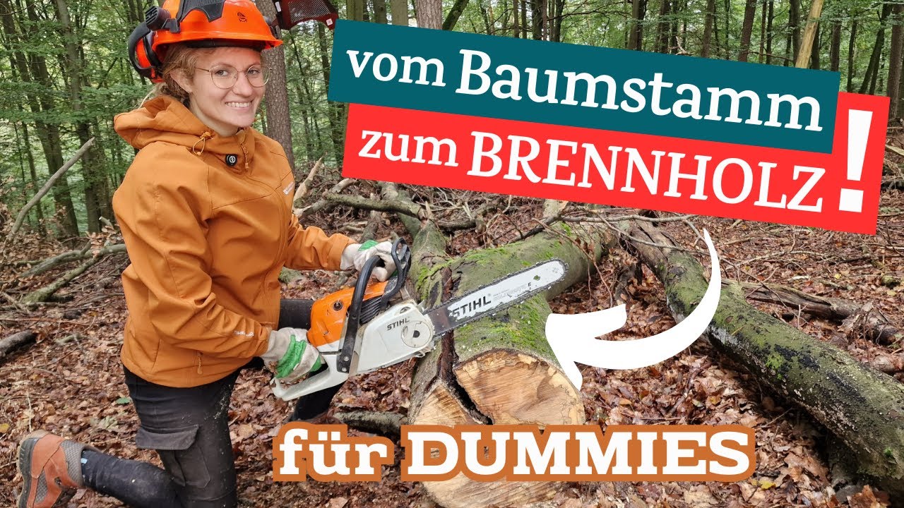 Brennholz machen im Wald - S&auml;gen, Lagern, alle Tipps 🌳🪚