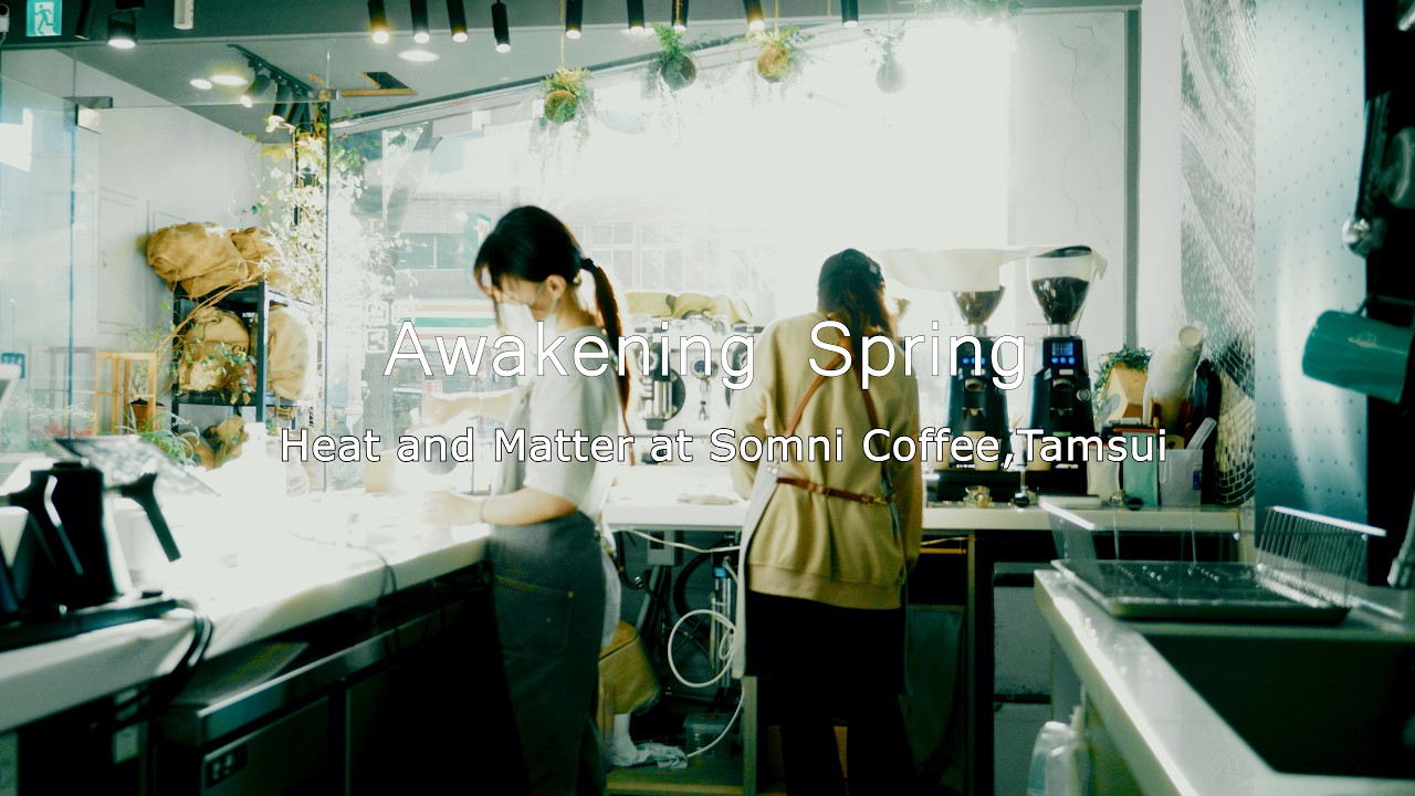 淡水獨立咖啡館的日常：春日、EK43 與完美萃取｜SOMNI COFFEE