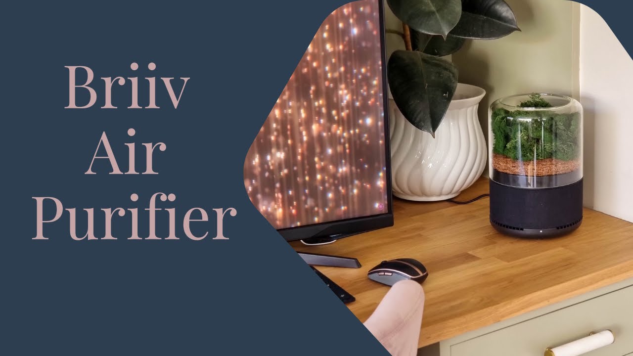 Briiv Air Purifier Review and Unboxing - AD
