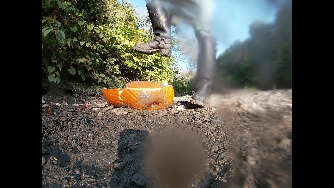 Wesco vs Pumpkin STOMP Pt 2