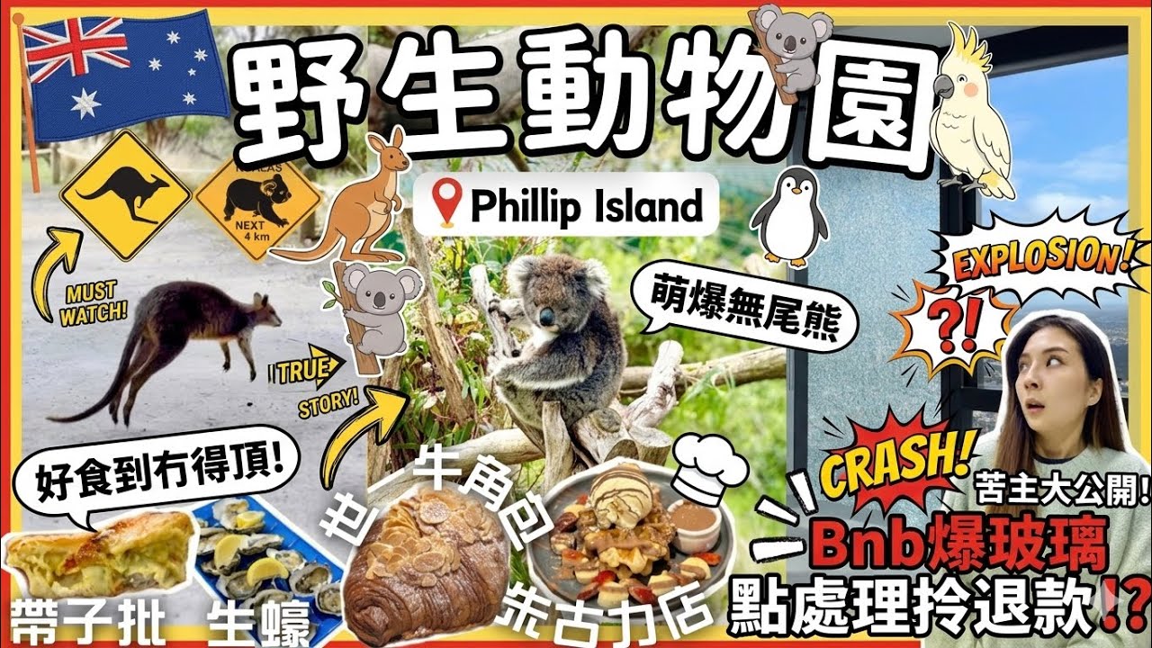 【墨爾本🏚️Airbnb屋主失蹤😱賠償全過程‼️】🌿尤加利樹林動物園🐨🦘一定睇到企鵝的Nobbies🐧必食的帶子批和生蠔🦪世一牛角酥Lune🥐🤤