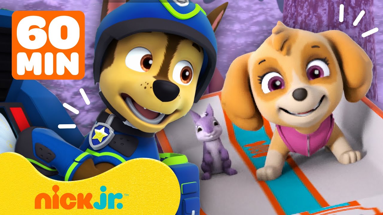 Paw Patrol - La Squadra dei Cuccioli | I PAW Patrol salvano i loro amici! | 60 minuti | Nick Jr.