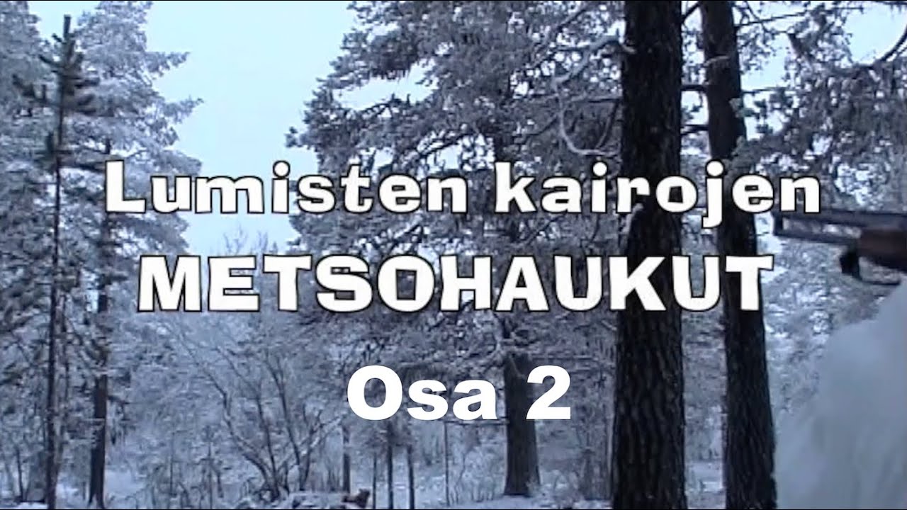 Lumisten kairojen metsohaukut osa 2 (er&auml;elokuva vuodelta 2007, jatko-osa). Videosara.