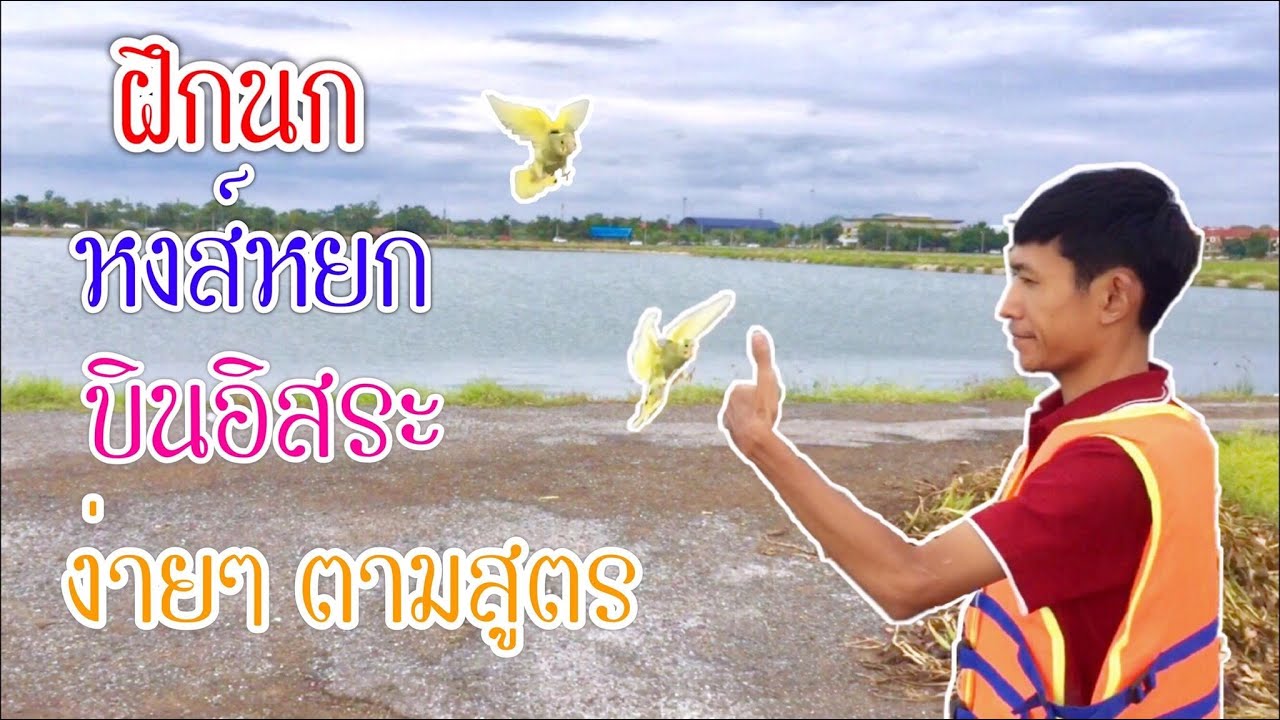 ฝึกนกหงส์หยกบินอิสระ (NokBinOkYes)