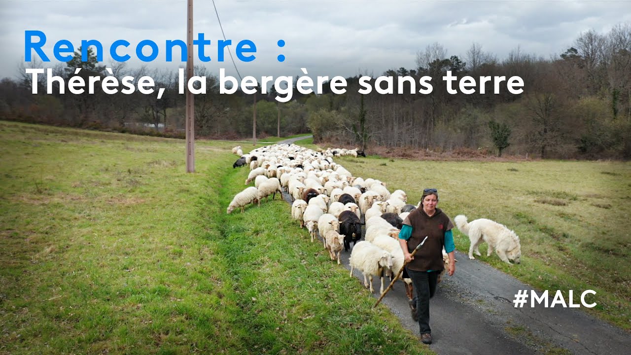 Rencontre : Thérèse, la bergère sans terre