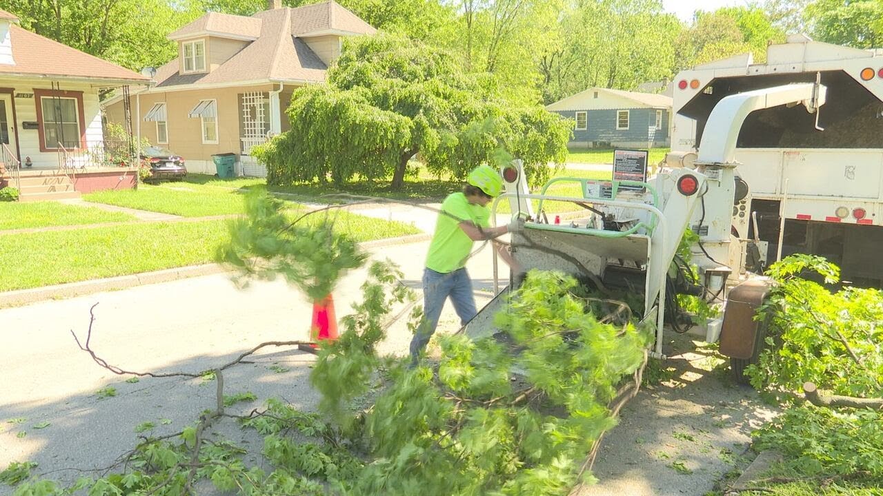 Tree service companies working long hours week after powerful storm