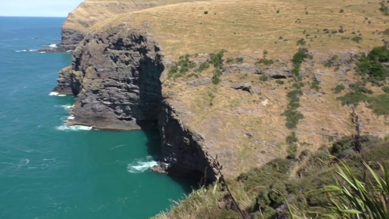 Hiking on Banks Peninsula with stunning views over Akaroa Harbour and outer Bays