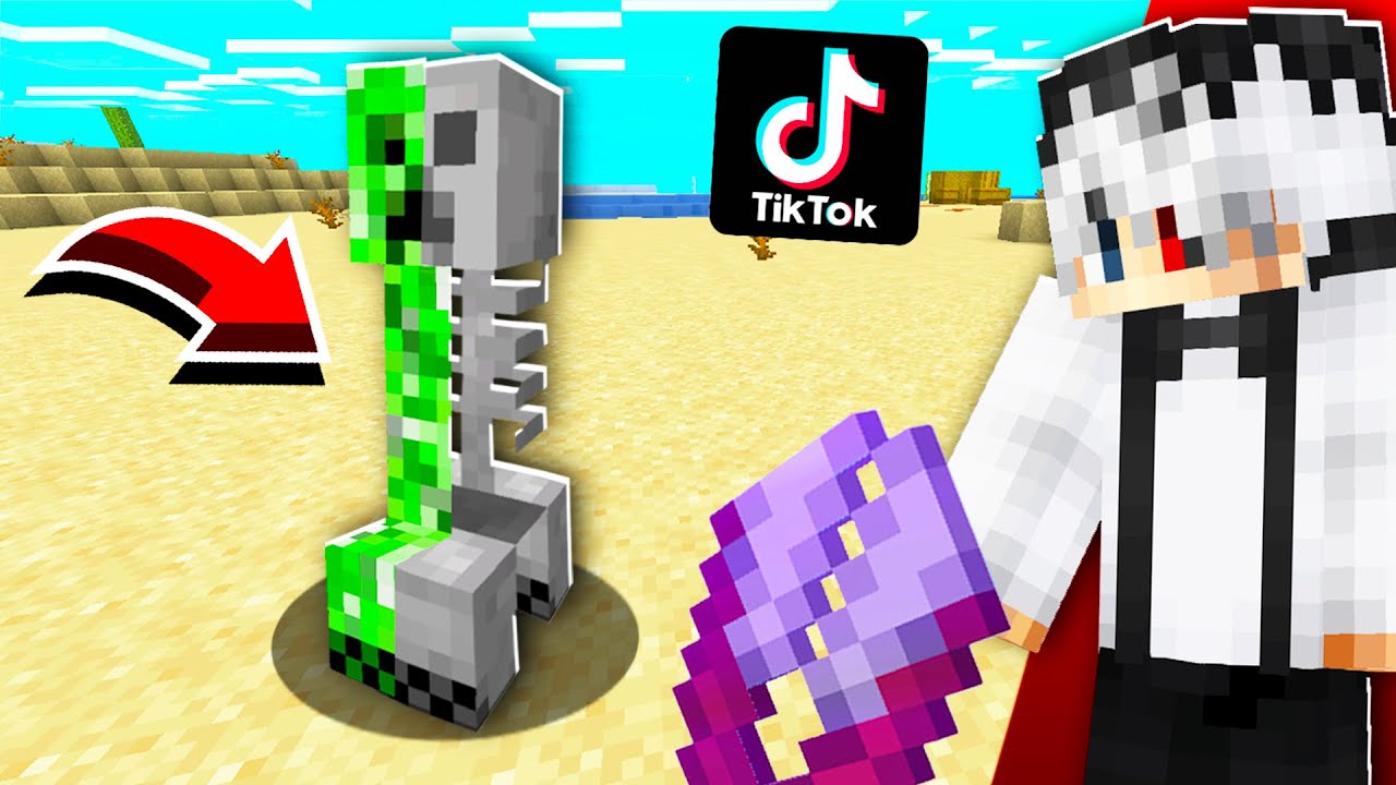 Testez TIKTOK-uri Cu Minecraft Care Sunt 100% REALE !