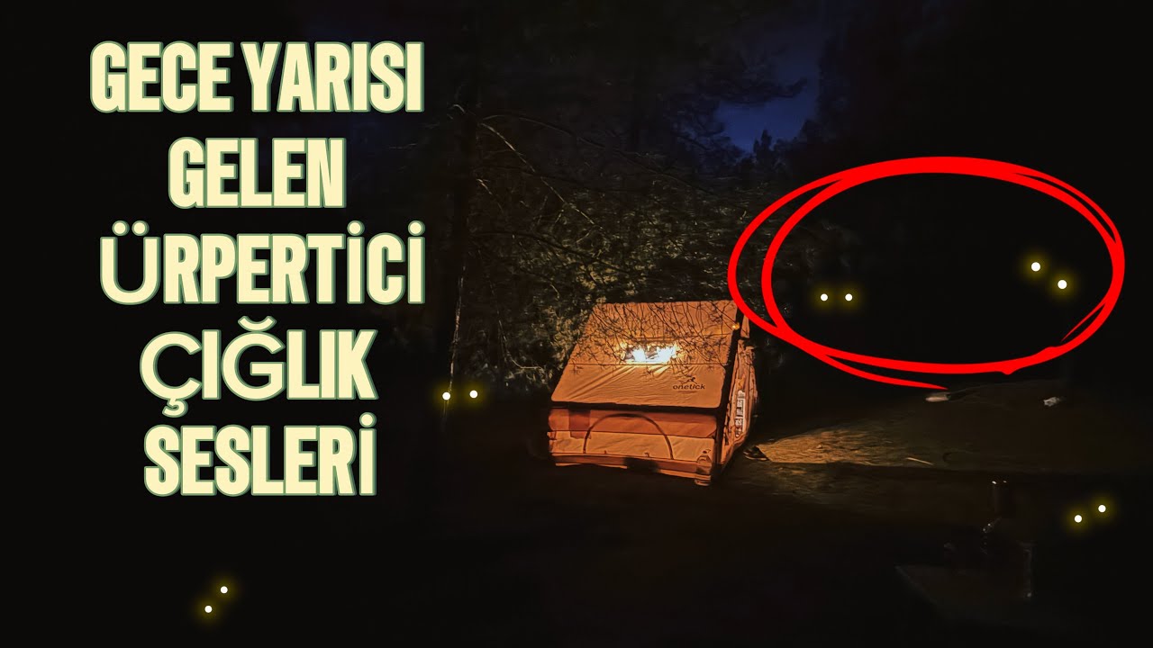 ÇADIRIMIZIN ETRAFINDA KORKUNÇ SESLER 🌲ISSIZ ORMAN KAMPI -SCARY SOUNDS AROUND OUR TENT-FOREST CAMPİNG