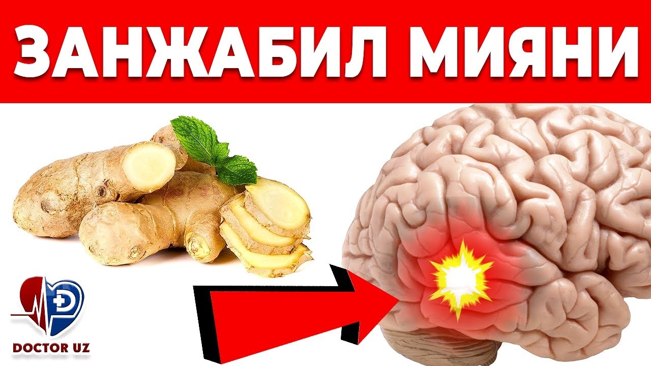ЗАНЖАБИЛНИ ХАР КУНИ ИЧСА МИЯНГИЗ БИЛАН НИМА БЎЛИШИНИ КЎРИНГ! ФОЙДА ВА ЗАРАРИ.