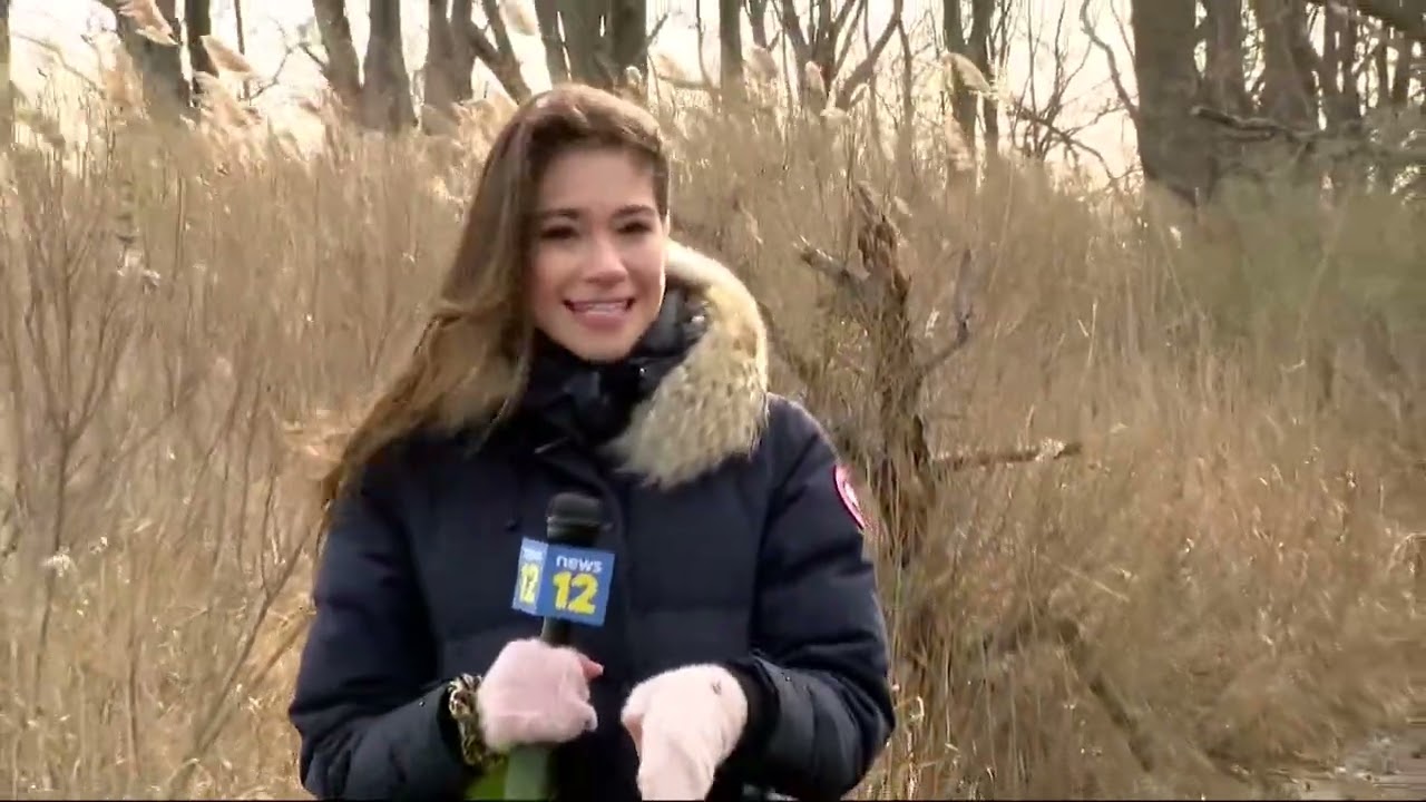 Check out nature’s life cycles at the Marshlands Conservancy in Rye
